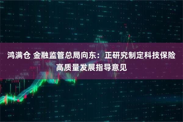 鸿满仓 金融监管总局向东：正研究制定科技保险高质量发展指导意见
