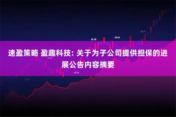 速盈策略 盈趣科技: 关于为子公司提供担保的进展公告内容摘要