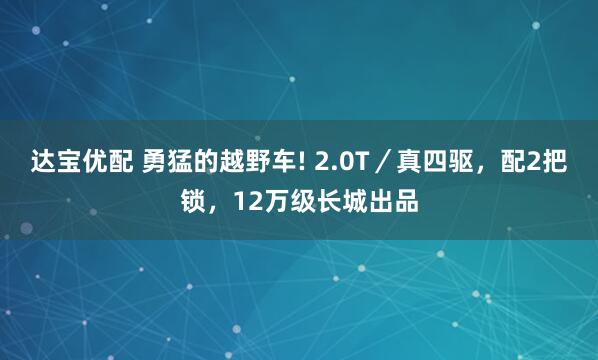 达宝优配 勇猛的越野车! 2.0T／真四驱，配2把锁，12万级长城出品