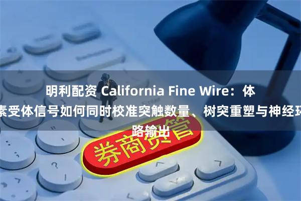 明利配资 California Fine Wire：体内胰岛素受体信号如何同时校准突触数量、树突重塑与神经环路输出